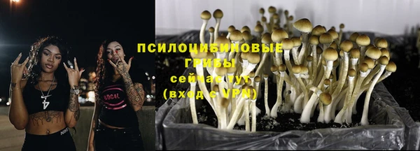 метадон Алексеевка