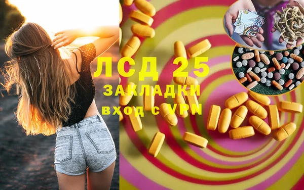 индика Алексин