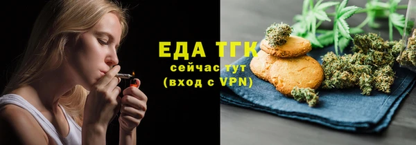 индика Алексин