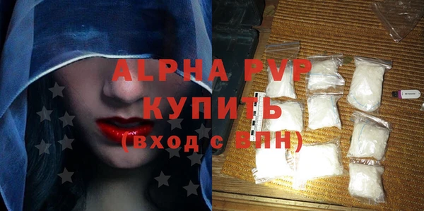 индика Алексин