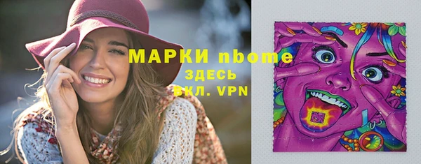 индика Алексин