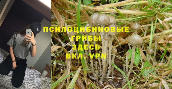 индика Алексин