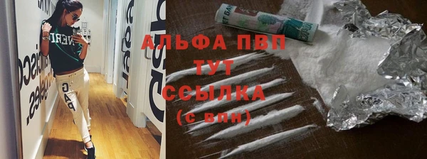индика Алексин