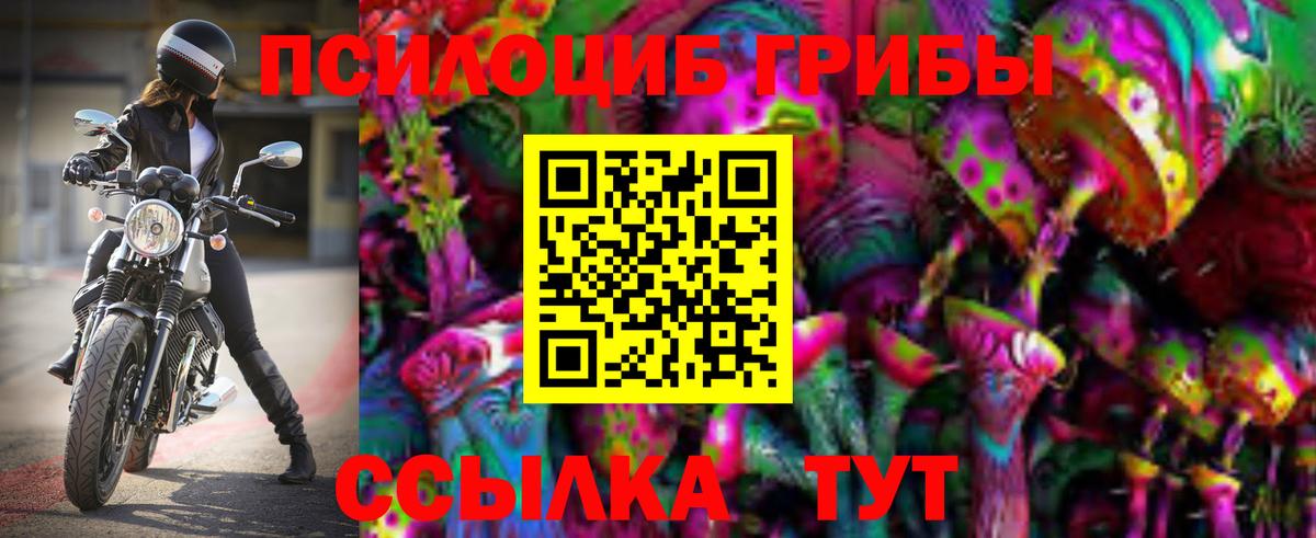 Псилоцибиновые грибы Psilocybe Лабинск
