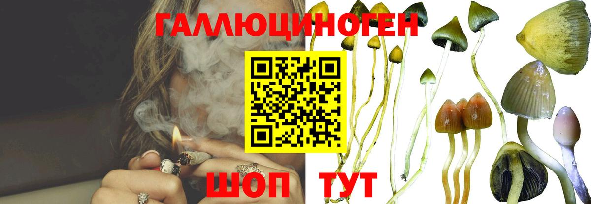 Лабинск  Псилоцибиновые грибы прущие грибы  Вход с VPN  Псилоцибиновые грибы мухоморы 